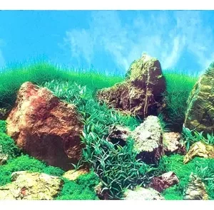 Painel Background C57/C52 50cm x 40cm Ocean Tech – Dupla Face de Fundo Decorativo