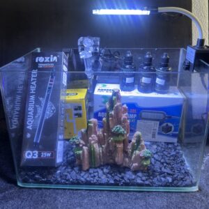 Aquário Curvo 16L Completo com Decoração Natural