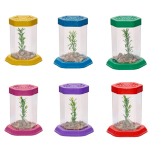 Aquário pequeno beteira de acrílico decorada