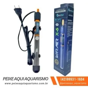 Betta Macho Palhaço – PADRÃO