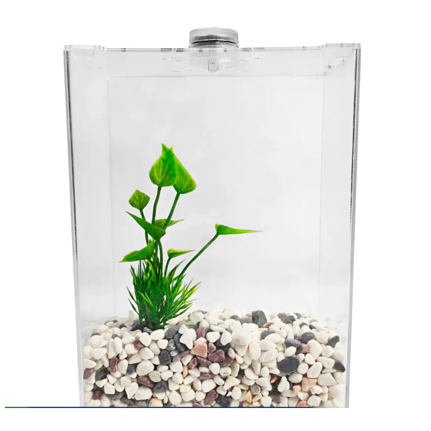 Aquario Beteira Acrilico Led Soma com Substrato E Planta 3 litros