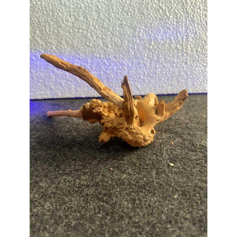 Raíz Natural para Aquário Oceantech (24x23x16cm) - Imagem 4