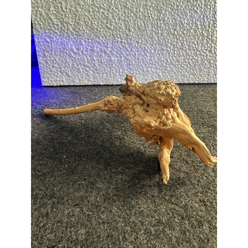 Raíz Natural para Aquário Oceantech (24x23x16cm) - Imagem 6