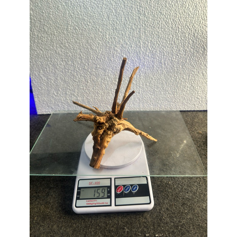 Raiz Natural para Aquário Ocean Tech (31x19x19cm) - Imagem 3