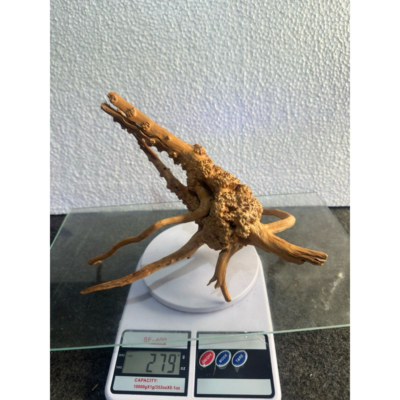 Raíz Natural para Aquário Oceantech (25x24x17cm) - Imagem 5