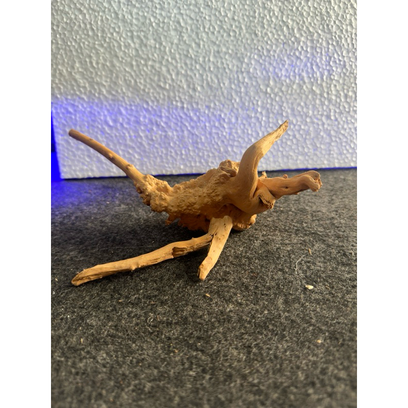 Raíz Natural para Aquário Oceantech (24x23x16cm) - Imagem 2