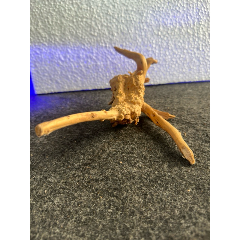 Raíz Natural para Aquário Oceantech (24x23x16cm) - Imagem 3