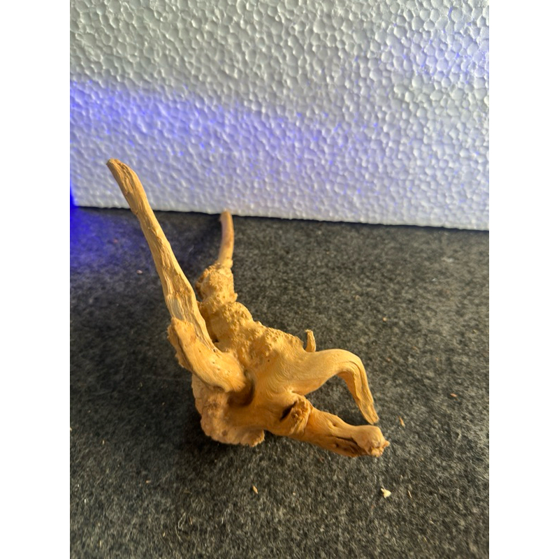 Raíz Natural para Aquário Oceantech (24x23x16cm) - Imagem 5