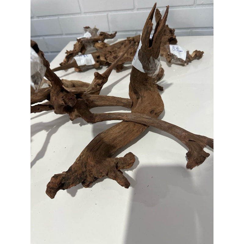 Tronco Natural Dragon Wood Ocean Tech para Aquário Enfeite Decorativo Aquapaisagismo - Imagem 2