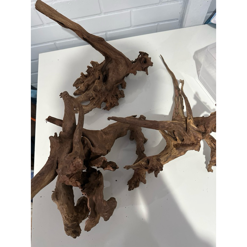 Tronco Natural Dragon Wood Ocean Tech para Aquário Enfeite Decorativo Aquapaisagismo - Imagem 2