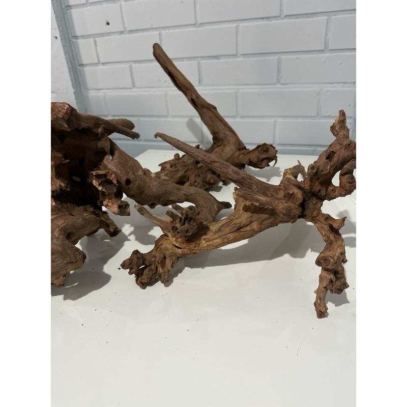 Tronco Natural Dragon Wood Ocean Tech para Aquário Enfeite Decorativo Aquapaisagismo - Imagem 3