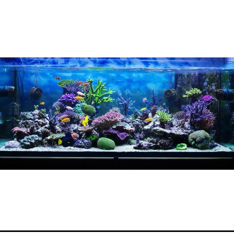 Filtro Esterilizador UV Ocean Tech 9W 127V para Aquário e Lago até 4.000 Litros Elimina Algas e Água Verde - Imagem 6