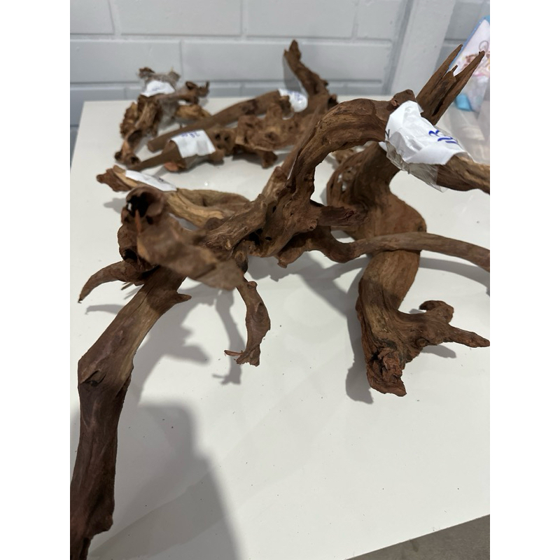 Tronco Natural Dragon Wood Ocean Tech para Aquário Enfeite Decorativo Aquapaisagismo