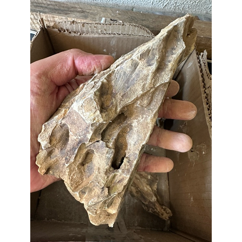 Rocha Natural Dragon Stone para Aquários | 1kg | Decorativa | Não Altera o pH - Imagem 7
