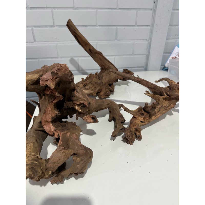 Tronco Natural Dragon Wood Ocean Tech para Aquário Enfeite Decorativo Aquapaisagismo