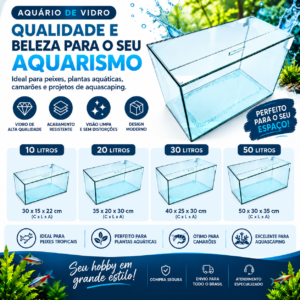 Kit aquário completo personalizável 10L 20L 30L e 50L com acessórios opcionais
